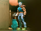 TMNT Ultimates Casey Jones