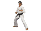 The Karate Kid Daniel Larusso Action Figure