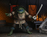 Universal Monsters x Teenage Mutant Ninja Turtles Ultimate Leonardo as The Hunchback